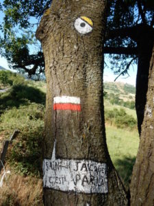 Podiensis - tree Santiago is this way