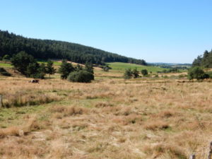 through Margeride to Le Villeret