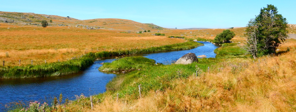 Podiensis - Aubrac - Bes bes