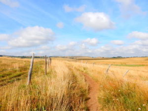 Podiensis - Aubrac - entering