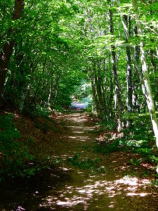 le puy route - to the Sauvage