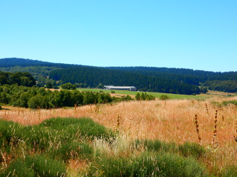 podiensis - sauvage - arriving view