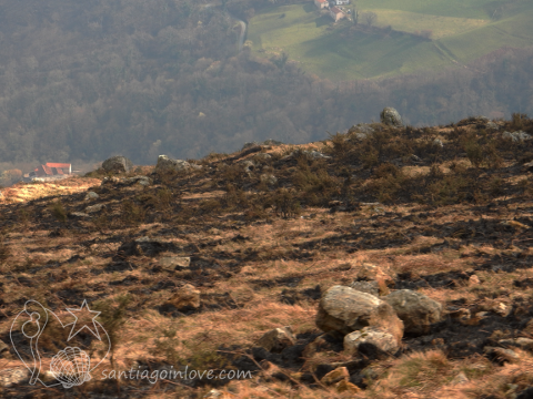 burned soil slash and burn tradition Camino