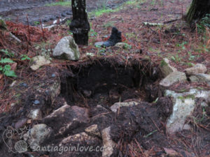 Real Camino-pothole