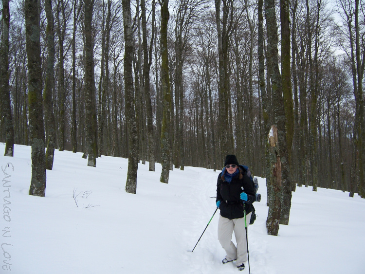 Differences of a low season Camino - Santiago in Love - CC BY-SA-NC