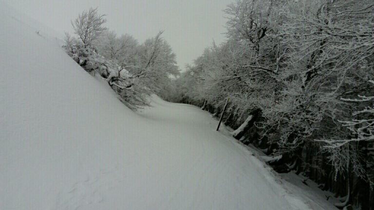 SJPP-Roncesvalles with snow - Pierre Bouresmau - CC