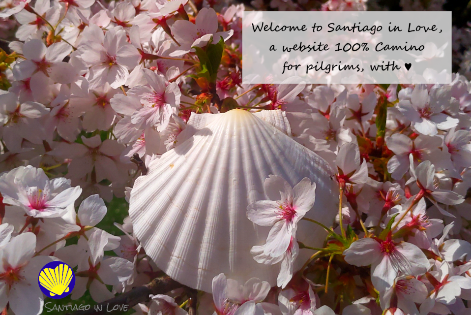 Welcome to santiagoinlove.com - spring theme