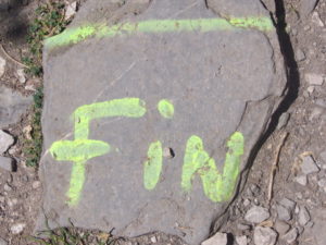 fin